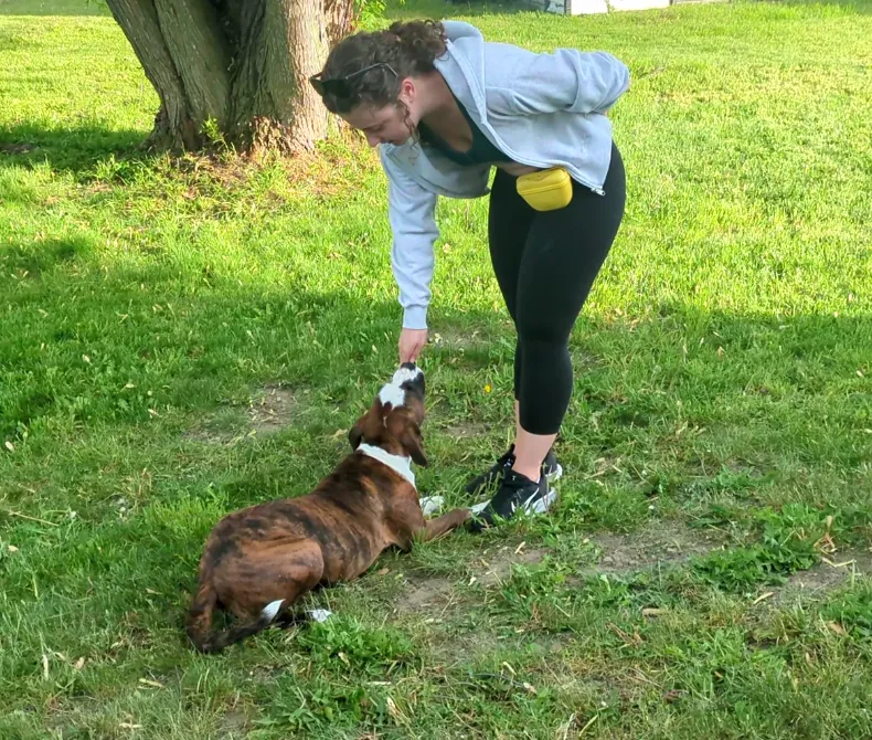Hayley training a dog